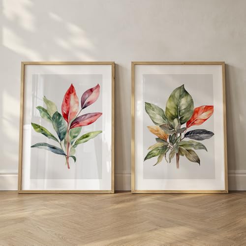 Image of COLOSSAL ART HOUSE Set of 2 botanical wall art paintings for living room & wall painting for bedroom wall decor - (10x13 Inch framed poster, Paintings for home decor)