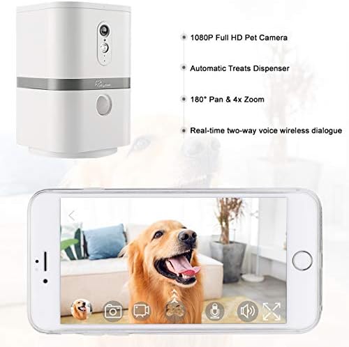 Petalk AI II Dog Camera with Speaker no — shown in a real home setting for scale