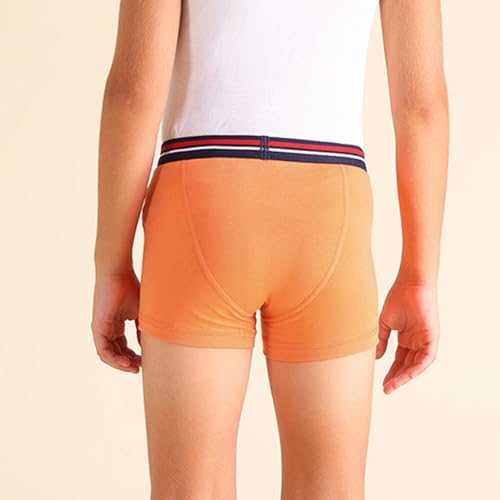 Image of U.S. Polo ASSN. Boy's Cotton Casual Style Trunks (Pack of 2)