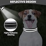 Joytale Reflective Dog Collar Medium | Ultra Comfy Soft Neoprene Padded | Heavy Duty Metal Belt Buckle, Black - Image 4