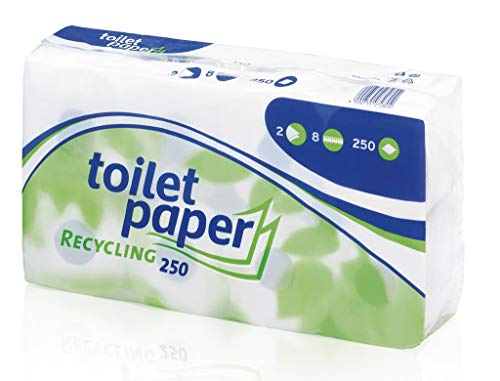 Preisvergleich Produktbild Wepa - Toiletten Papier Recycling 250 Blatt - 8St