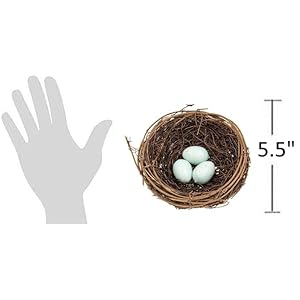The Bridge Collection Artificial Bird Nest with Eggs - Cute Bird's Egg Nest Tabletop Decoration for Easter, Spring, Summer, Everyday Home Decor (Blue Eggs) The Bridge Collection Artificial Bird Nest with Eggs Cute Birds Egg Nest Tabletop Decoration for Easter Spring Summer Everyday Home Decor Blue Eggs