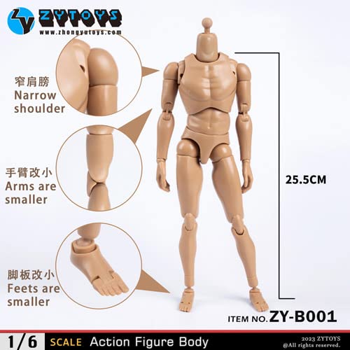 Amazon | ZYTOYS 1/6スケール 汎用 男性アクションフィギュアボディ素