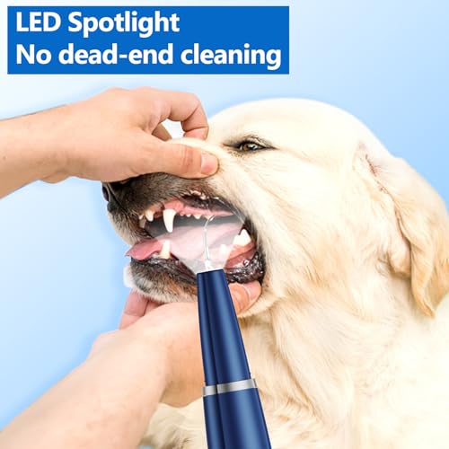 Ni-SHEN Dog Plaque Remover for Teeth,Pet Ultrasonic Tooth Cleaner,Teeth Cleaning Kit -Tartar Remover for Teeth Stains for Dogs and Cats (Blue)