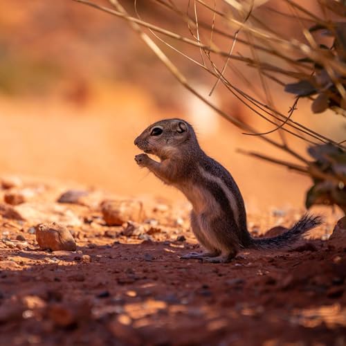 Ep11 - Should we be teaching students how to protest?