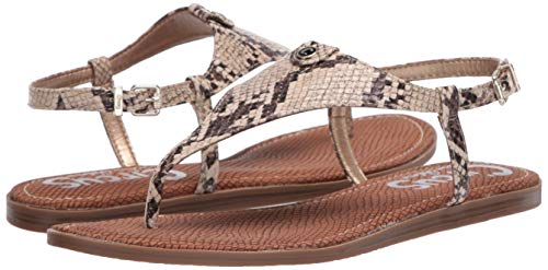 Circus Ny Womens Carolina Roccia 5.5 Medium #TOP6