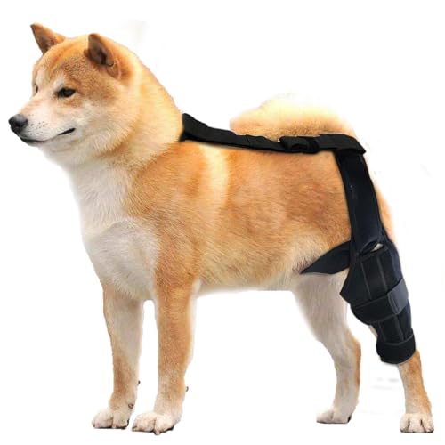 Fulenyi Rear Leg Braces For Small Dogs, Dog ACL Knee Support Brace, Rear Leg Stabilizer For Small Dogs, Neoprene Hip Brace With Adjustable Traction Belt For Cruciate Ligament Injury, Joint