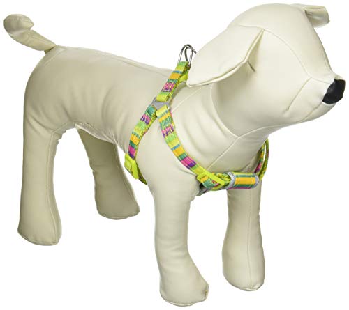 ドギーマン タフタフ 胴輪 マルチカラー 超小型犬用 SS サイズ