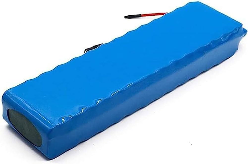 Batteria Al Litio 24V 10Ah TGHY - Con Caricabatteria, Impermeabile, Per Motori 50W-500W