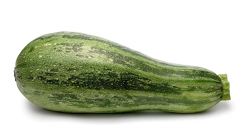 Sachet de graines de Courgette Hyb. Profusion - Sachet de 2 grammes - Graines de style