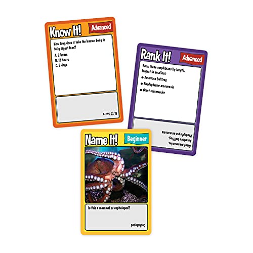 MindWare Science Trivia Challenge Game – Educational & Fun Game for Families & Kids Ages 7 & Up - Image 4