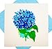GREENHANDSHAKE Hydrangea Boutique, quilling art greeting card for birthday, valentine's day, mother's day, anniversary, thank you, get well, 6" x 6"