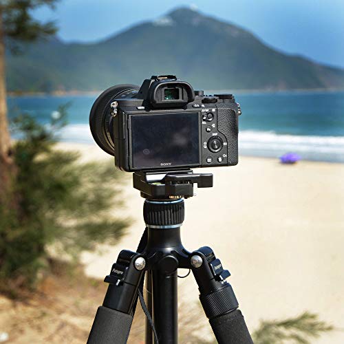 SIOTI Tête de trépied pour Appareil Photo Reflex numérique Nikon Canon Sony Samsung (323 Schnellwechseleinrichtung) - Image 3