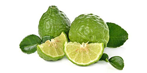 Portal Cool Las semillas del paquete: 15 semillas tailandesa de lima kaffir, orgánico, fresco, crecer sus propias hojas