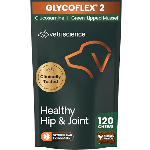 VetriScience Laboratories GlycoFlex 2, Hip and Joint Supplement for Dogs, Bite Sized Chews, 120 CT