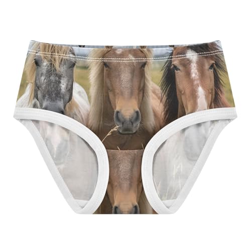 Cotton Toddler Girls Underwear Horses Grassland Cute Girl Panties Cute Fancy Briefs Girls Undies 2t