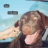 Maciste Dischi / Artist First