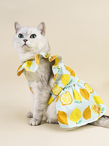 Qwinee Fruit Pattern Pet Dress Cat Dog Dress With Leash Ring Cool Breathable Pet Cute Clothes For Girl Cats Dogs Yellow X-Small #TOP1