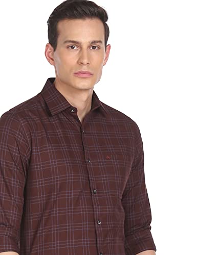 Image of Arrow Men's Regular Fit Button Down Shirt