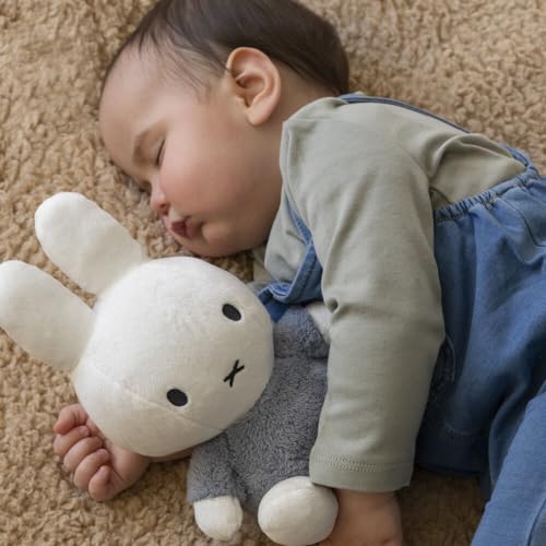 DADWAY ミッフィーぬいぐるみ 25cm TYMIFNIJN915