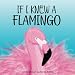 If I Knew A Flamingo