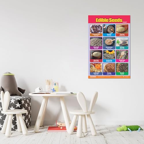 Image of ESCAPER Edible Seeds Educational Learning Charts (11.5 x 17.5 Inches), 300 GSM Paper, Laminated, Self Adhesive Back, Kids Study Material, Perfect For Home Schooling, Nursery Students