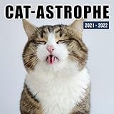  Cat-Astrophe Calendar 2021-2022: 16-Month Monthly Agenda Home Supplies Of Funny Cat Images