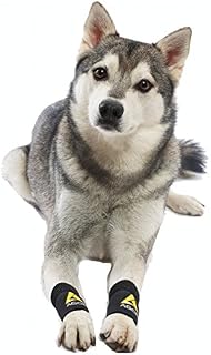 AGON (Pair) Dog Canine Front Leg Brace Paw Compression Wraps with Protects Wounds