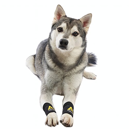 AGON (Pair) Dog Canine Front Leg Brace Paw Compression Wraps with Protects Wounds
