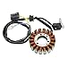 Stator Compatible With Automotive Motorcycle Parts MAXXER 250 KXR 250 MXU 250 Mongoose 250 For Part Number 31120-LBA7-90A