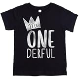 Boys 1st Birthday Outfit Mr One-Derful Tee Shirt for Boys 1st Birthday Shirt Silver on Black Short Sleeve