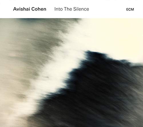 Into The Silence / Avishai Cohen