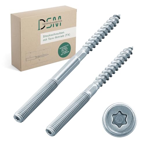 DSM – Tornillos M10 x 120 mm con accionamiento Torx (TX 25) Galvanizados – M6 a M12, tornillos de doble hilo para abrazaderas de tubo, SW 8 mm, juntas de madera, material de montaje: 100 piezas