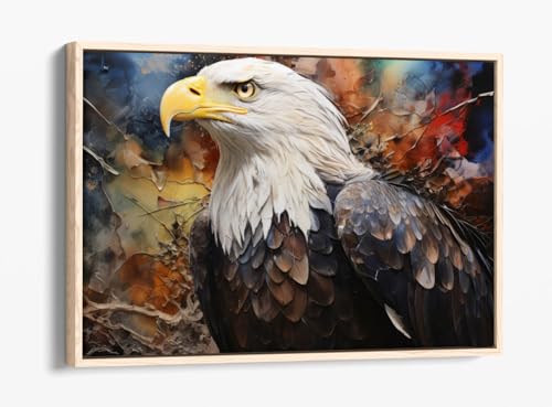 Peinture aigle à tête blanche sur toile et cadre chêne 76x50 cm