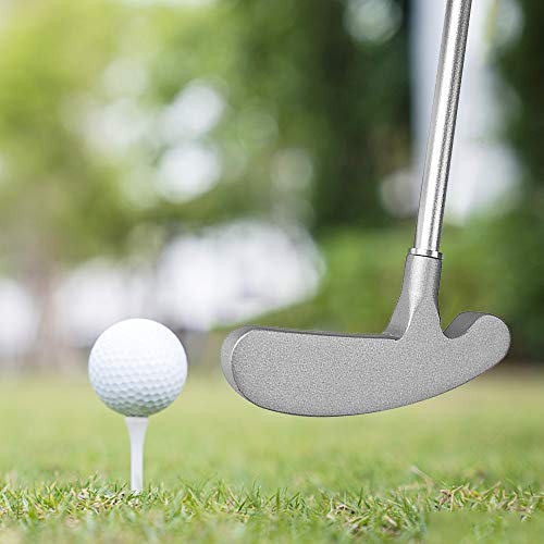 Moniss Conjunto de taco de golfe com taco de golfe 2 bolas de golfe Taça de taco de golfe para viage