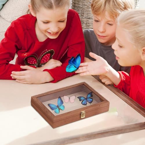 Vitrine pour spécimens pour préserver l'histoire de vos bijoux