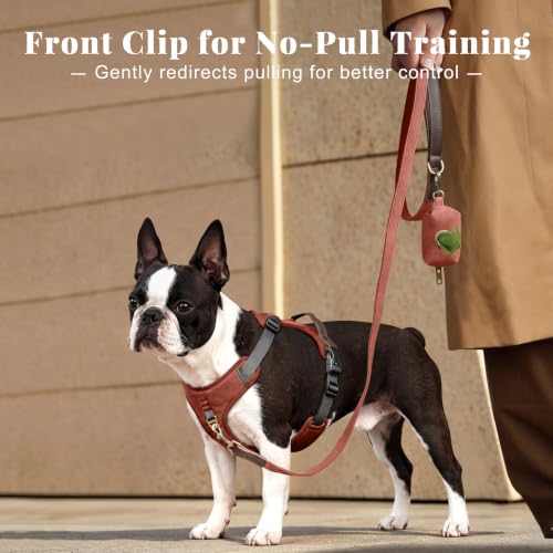 Image of Didog No Pull Dog Harness for Small Dogs, Classic PU Leather, Brown, S