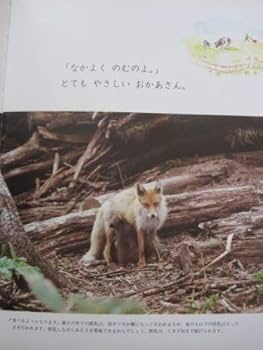 Amazon.co.jp: きつね〈きたきつね〉 (5) (学研チャイルドライブラリー