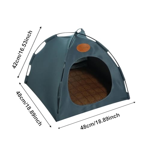 Mascotas, Pet Products Imagen adicional