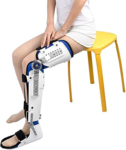 OA qWt Rom Gu[Xr\ȑ֐߃T|[gGu[X\ȒʋCGŒی񕜂̂