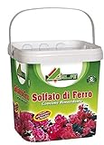 5 kg Di Concime Prato, Fiori e Piante con Solfato di Ferro 30% - Azione ANTI-Muschio GARANTITO AL 100%, OTTIMO Per Giardino, Orto e Tappeto Erboso