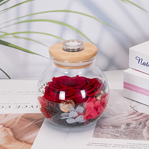 Mom Gifts Roses For Birthday,Red Preserved Flowers Real Rose For Her,Birthday Gifts For Women, Glass Rose Flower Gifts With Colorful Light Wishing Bottle, Eternal Rose Gifts For Womens,Mom,Grandma #TOP4
