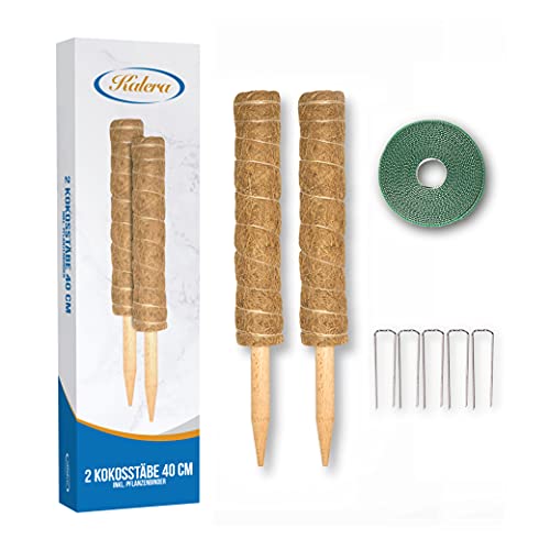 Kalera Rankhilfe Zimmerpflanzen Set - 2 x 40cm Kokosstab für Pflanzen + 30...