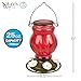 Nature's Way Hanging Glass Hummingbird Feeder for Outdoor Decor, 25 Ounce Capacity Nectar Feeder, 5 Easy to Clean Flexible Ports, Red