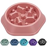 UPSKY Slow Feeder Dog Bowl