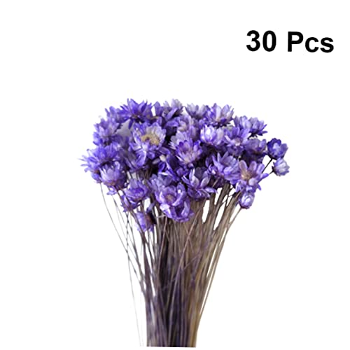 30pcs Mini Flores de Margarita Secas Artificiales miniatura 5