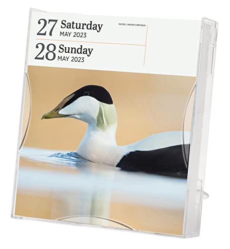 Audubon Birds Page-A-Day Gallery Calendar 2023: Hundreds Of Birds, Expertly Captured By Top Nature Photographers #TOP3