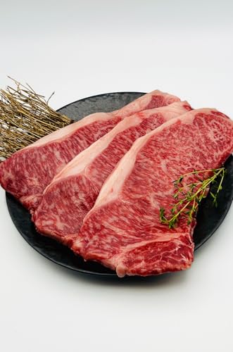 䂦 g nT[CXe[L 600g(3) [јa Xe[Lp Mtg v[g  Ε j ̓ ʔ ]