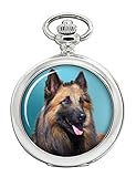 Family Crests Chien Berger Belge (Tervueren) Complet Hunter Poche Montre