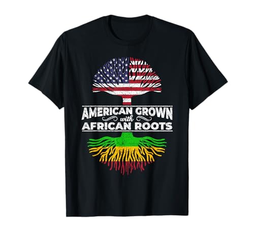 US Flag Pride African American Heritage Black History Month T-Shirt